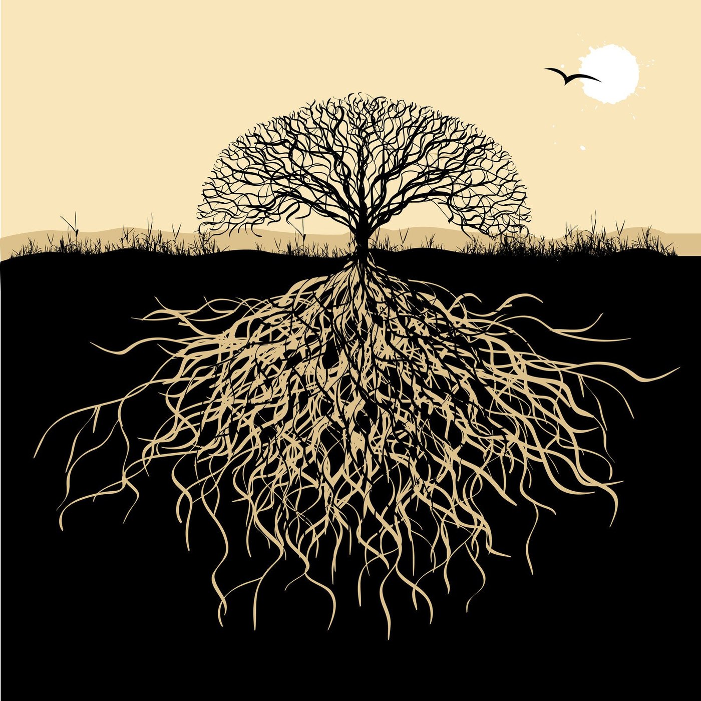 A tree's deep roots beneath new growth — rooted without being old-fashioned